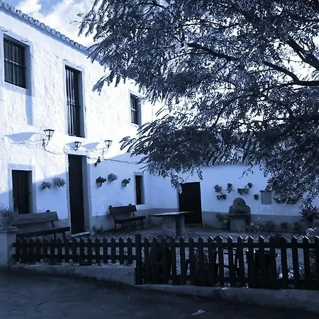 Huerto El Mayorazgo * Montellano