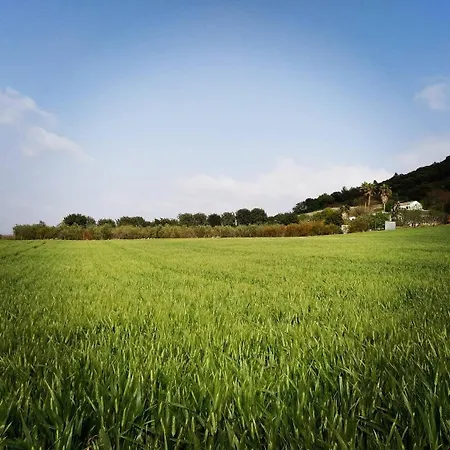 Huerto El Mayorazgo Holiday home *