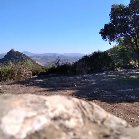 Huerto El Mayorazgo Montellano