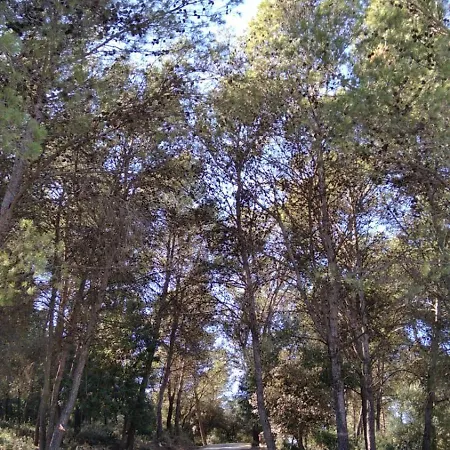 Huerto El Mayorazgo